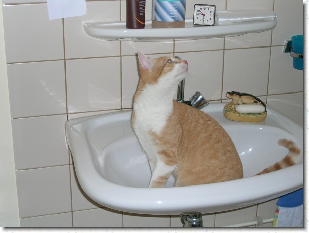 Klik hier voor de originele foto